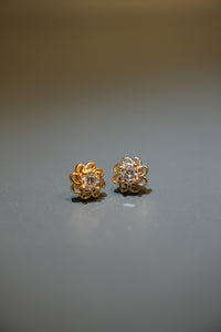 Plug earring