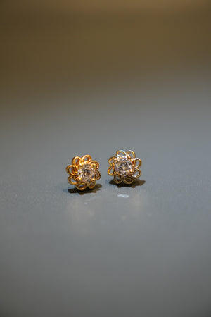 Plug earring