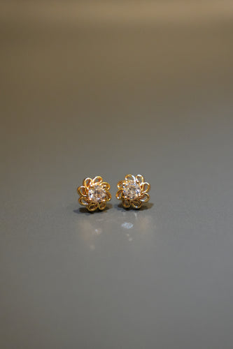 Plug earring